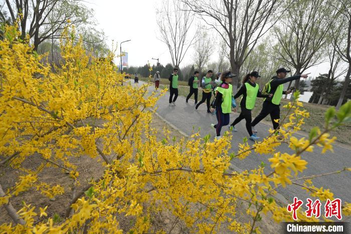 北京国际长走大会在昌平两公园举行，近两千名