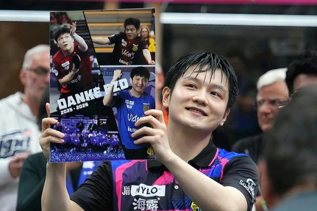 樊振东德甲赛季收入揭秘，商业价值飙升