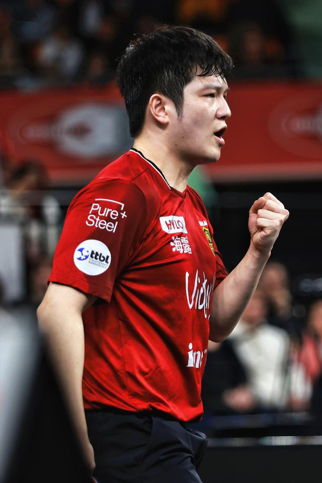 樊振东德甲赛季收入揭秘，商业价值飙升