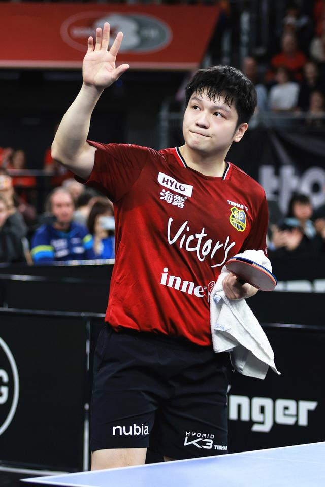 樊振东德甲赛季收入揭秘，商业价值飙升