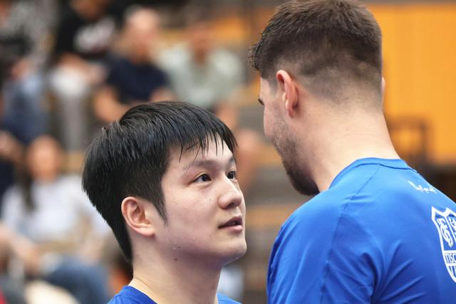 樊振东德甲赛季收入揭秘，商业价值飙升