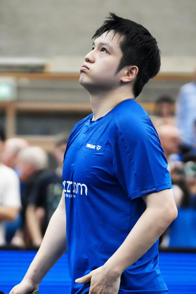 樊振东德甲赛季收入揭秘，商业价值飙升