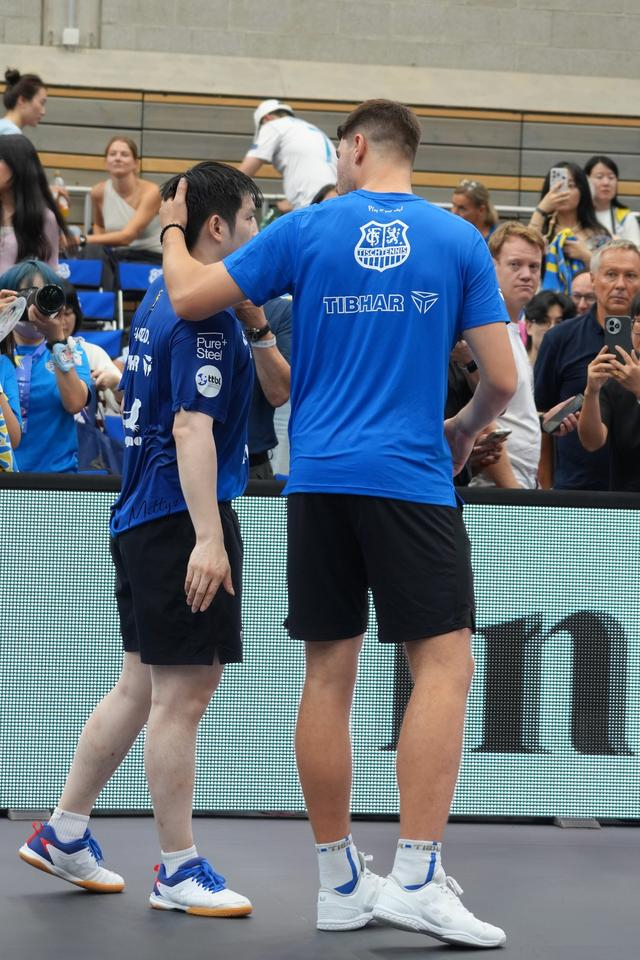 樊振东德甲赛季收入揭秘，商业价值飙升