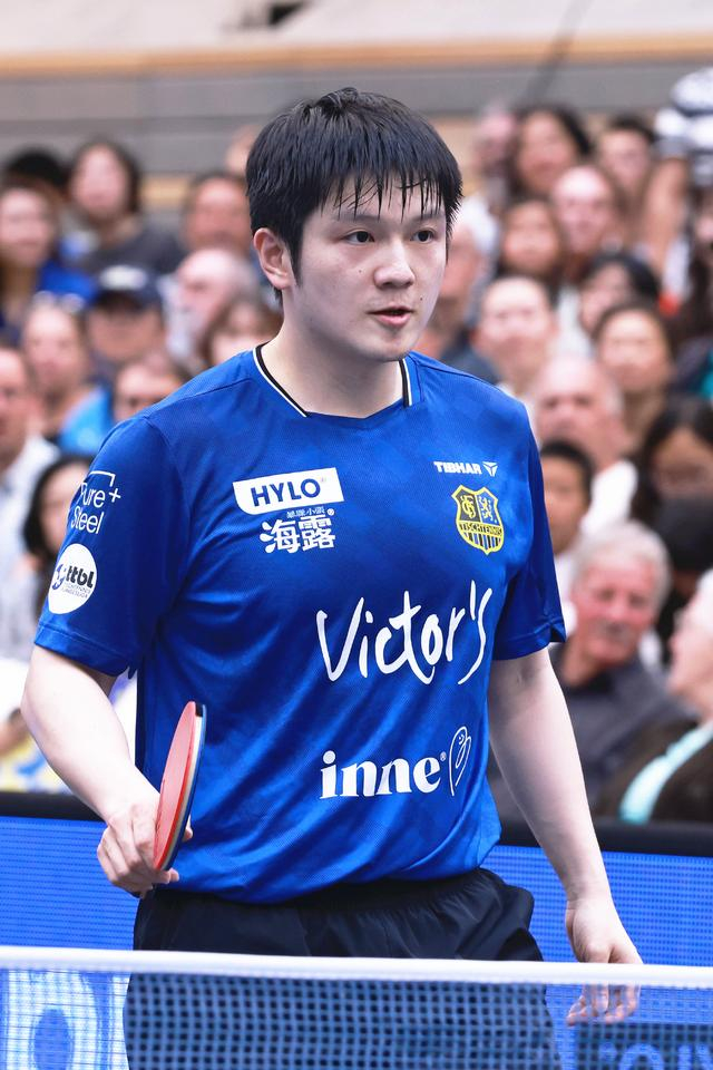 樊振东德甲赛季收入揭秘，商业价值飙升