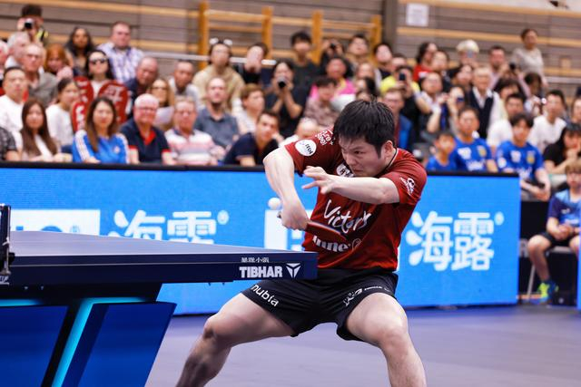 樊振东德甲赛季收入揭秘，商业价值飙升