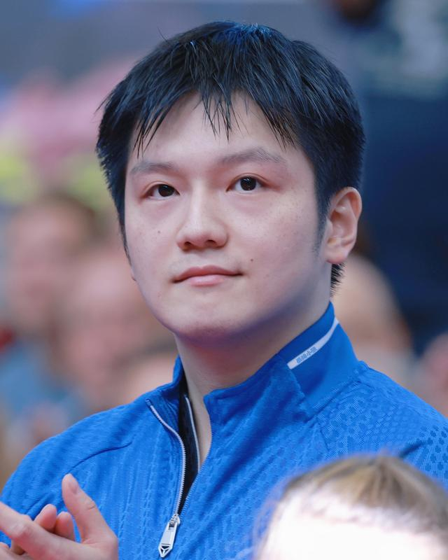 樊振东德甲赛季收入揭秘，商业价值飙升