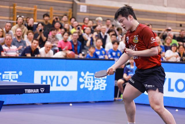 樊振东德甲赛季收入揭秘，商业价值飙升