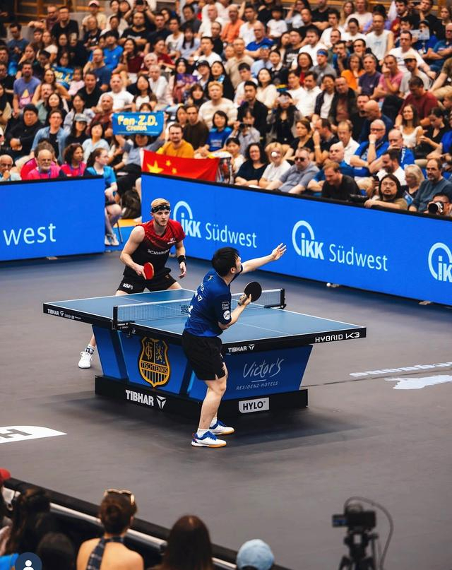 樊振东德甲赛季收入揭秘，商业价值飙升